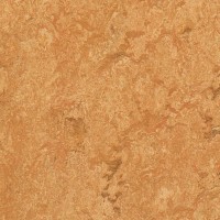 3174 Sahara Real 